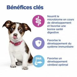 HILL'S Pet Nutrition Vet Essentials Chien Multi-Benefit Puppy Medium Poulet -nourriture pour chien boutique vet essentials chien multi benefit puppy medium poulet 2