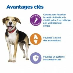 HILL'S Pet Nutrition Vet Essentials Chien Multi-Benefit + Senior Health M&L Poul. 8 HILL'S Pet Nutrition Vet Essentials Chien Multi-Benefit + Senior Health M&L Poul. -nourriture pour chien boutique vet essentials chien multi benefit senior health ml poul 2