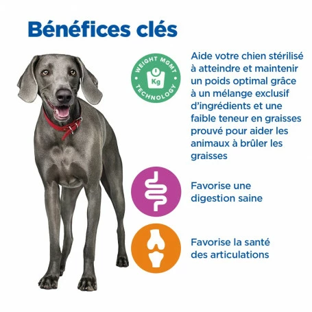 HILL'S Pet Nutrition Vet Essentials Chien Multi-Benefit + Weight Adult + Large Breed Poulet 4 HILL'S Pet Nutrition Vet Essentials Chien Multi-Benefit + Weight Adult + Large Breed Poulet – Image 4