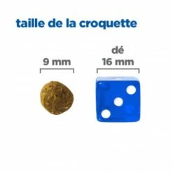 HILL'S Pet Nutrition Vet Essentials Chien Multi-Benefit + Weight Adult 1+ Small & Mini Poulet -nourriture pour chien boutique vet essentials chien multi benefit wei adult 1 smm po 4