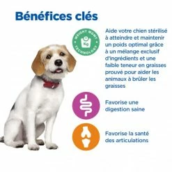 HILL'S Pet Nutrition Vet Essentials Chien Multi-Benefit + Weight Adult 1+ Medium Poulet -nourriture pour chien boutique vet essentials chien multi benefit weight adult 1 medium poulet 3