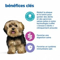 HILL'S Pet Nutrition Vet Essentials Chien Multi-Benefit+Dental Adult 1+ Small & Mini 12 HILL'S Pet Nutrition Vet Essentials Chien Multi-Benefit+Dental Adult 1+ Small & Mini -nourriture pour chien boutique vet essentials chien multi benefitdental adult 1 sm mp 4