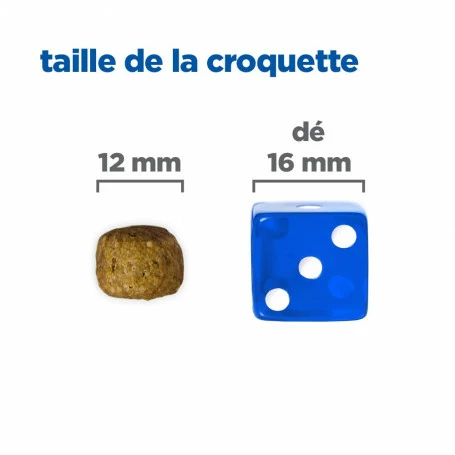 HILL'S Pet Nutrition Vet Essentials Chien Multi-Benefit+Dental Adult 1+ Small & Mini 6 HILL'S Pet Nutrition Vet Essentials Chien Multi-Benefit+Dental Adult 1+ Small & Mini – Image 6