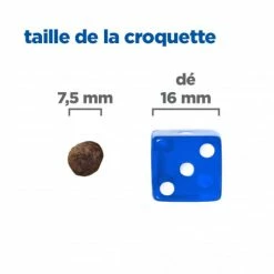 HILL'S Pet Nutrition Vet Essentials Chien Multi-Benefit+Digestion Adult + Small & Mini Poulet 11 HILL'S Pet Nutrition Vet Essentials Chien Multi-Benefit+Digestion Adult + Small & Mini Poulet -nourriture pour chien boutique vet essentials chien multi benefitdigestion adult 1 sm p 3