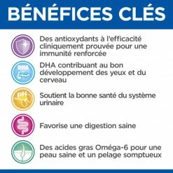 HILL'S Pet Nutrition Vet Essentials Feline Kitten Growth Poulet Sachet Repas -nourriture pour chien boutique vet essentials feline kitten growth poulet sachet repas 4