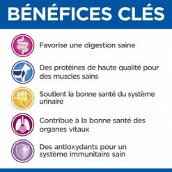 HILL'S Pet Nutrition Vet Essentials Feline Mature Adult 7+ Poulet Sachet Repas -nourriture pour chien boutique vet essentials feline mature adult 7 poulet sachet repas 4