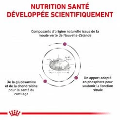 ROYAL CANIN Veterinary Health Nutrition Cat Mobility -nourriture pour chien boutique veterinary diet cat mobility 2