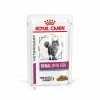 ROYAL CANIN Veterinary Health Nutrition Cat Renal Poisson Sachet Repas