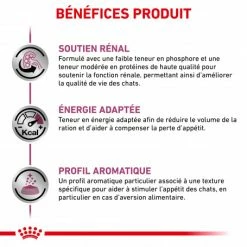 ROYAL CANIN Veterinary Health Nutrition Cat Renal Poisson Sachet Repas -nourriture pour chien boutique veterinary diet cat renal poisson sachet repas 2