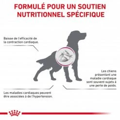 ROYAL CANIN Veterinary Health Nutrition Dog Cardiac Boîte 8 ROYAL CANIN Veterinary Health Nutrition Dog Cardiac Boîte -nourriture pour chien boutique veterinary diet dog cardiac boite 1