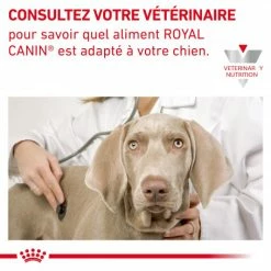 ROYAL CANIN Veterinary Health Nutrition Dog Cardiac Boîte 12 ROYAL CANIN Veterinary Health Nutrition Dog Cardiac Boîte -nourriture pour chien boutique veterinary diet dog cardiac boite 5