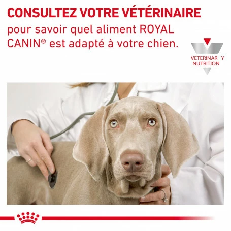 ROYAL CANIN Veterinary Health Nutrition Dog Cardiac Boîte 6 ROYAL CANIN Veterinary Health Nutrition Dog Cardiac Boîte – Image 6
