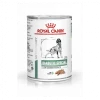 ROYAL CANIN Veterinary Health Nutrition Dog Diabetic Special Boîte