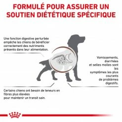 ROYAL CANIN Dog Gastro Intestinal High Fibre 9 ROYAL CANIN Dog Gastro Intestinal High Fibre -nourriture pour chien boutique veterinary diet dog fibre response 1
