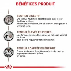 ROYAL CANIN Dog Gastro Intestinal High Fibre 11 ROYAL CANIN Dog Gastro Intestinal High Fibre -nourriture pour chien boutique veterinary diet dog fibre response 3