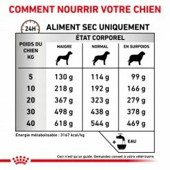 ROYAL CANIN Dog Gastro Intestinal High Fibre 12 ROYAL CANIN Dog Gastro Intestinal High Fibre -nourriture pour chien boutique veterinary diet dog fibre response 4