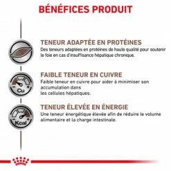ROYAL CANIN Dog Hepatic Boîte -nourriture pour chien boutique veterinary diet dog hepatic boite 1