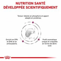 ROYAL CANIN Veterinary Diet Dog Renal Select 10 ROYAL CANIN Veterinary Diet Dog Renal Select -nourriture pour chien boutique veterinary diet dog renal select 2