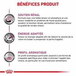 ROYAL CANIN Veterinary Health Nutrition Dog Renal Special -nourriture pour chien boutique veterinary diet dog renal special 3
