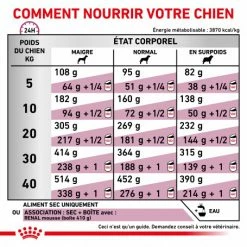 ROYAL CANIN Veterinary Health Nutrition Dog Renal Special -nourriture pour chien boutique veterinary diet dog renal special 4