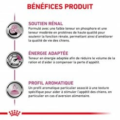 ROYAL CANIN Veterinary Health Nutrition Dog Renal Special Boîte 9 ROYAL CANIN Veterinary Health Nutrition Dog Renal Special Boîte -nourriture pour chien boutique veterinary diet dog renal special boite 2