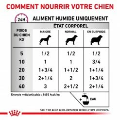 ROYAL CANIN Veterinary Health Nutrition Dog Renal Special Boîte 10 ROYAL CANIN Veterinary Health Nutrition Dog Renal Special Boîte -nourriture pour chien boutique veterinary diet dog renal special boite 3