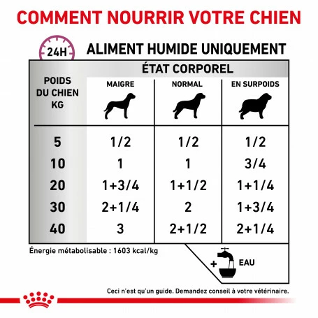 ROYAL CANIN Veterinary Health Nutrition Dog Renal Special Boîte 4 ROYAL CANIN Veterinary Health Nutrition Dog Renal Special Boîte – Image 4