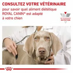 ROYAL CANIN Veterinary Health Nutrition Dog Renal Special Boîte 12 ROYAL CANIN Veterinary Health Nutrition Dog Renal Special Boîte -nourriture pour chien boutique veterinary diet dog renal special boite 5