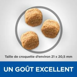 HILL'S Pet Nutrition Vet Essentials Canine Adult Dental Health Large Breed Poulet 9 HILL'S Pet Nutrition Vet Essentials Canine Adult Dental Health Large Breed Poulet -nourriture pour chien boutique vetessentials canine adult large breed 2