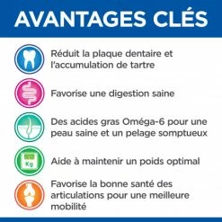 HILL'S Pet Nutrition Vet Essentials Canine Adult Dental Health Large Breed Poulet 10 HILL'S Pet Nutrition Vet Essentials Canine Adult Dental Health Large Breed Poulet -nourriture pour chien boutique vetessentials canine adult large breed 3