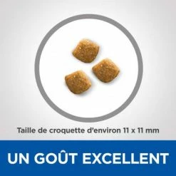 HILL'S Pet Nutrition Vet Essentials Feline Young Adult Dental Health -nourriture pour chien boutique vetessentials feline young adult dental health 3